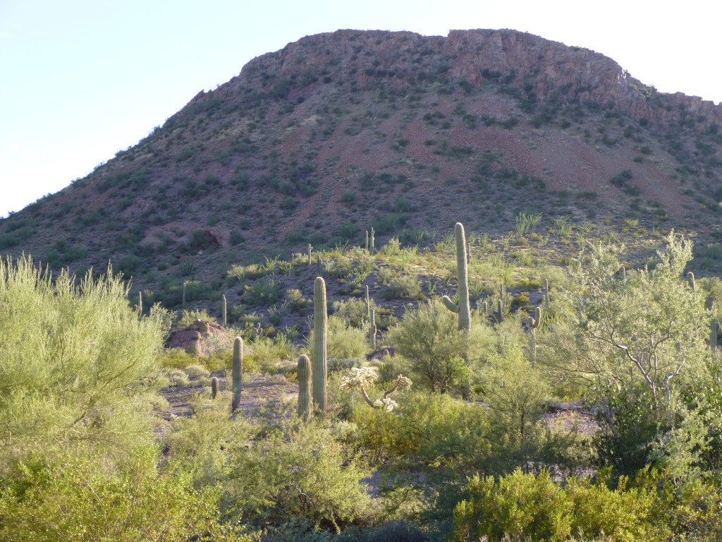 Looking south to Peak 2434 near sunset