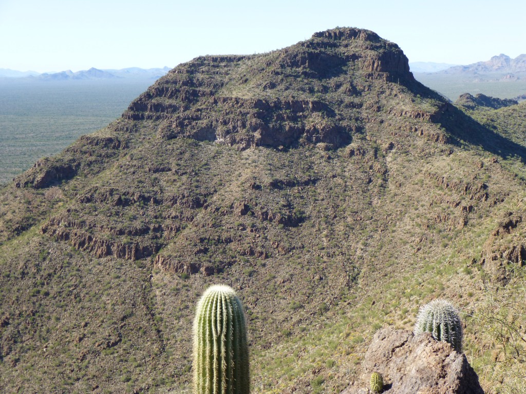 Looking northwest to the range high point of the Sierra de Santa Rosa, from Peak 2771