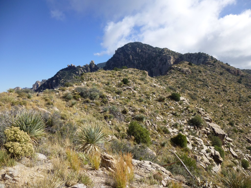 Looking up the endless ridge