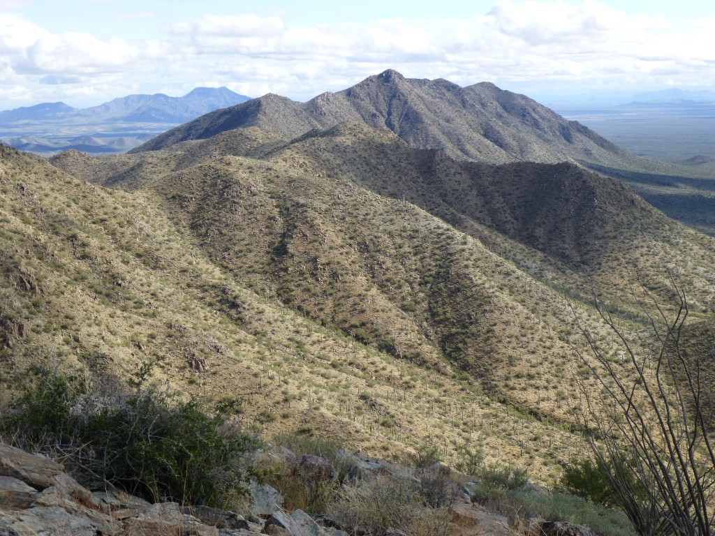 Looking east to Maricopa Peak, the high point of the Sand Tank Mountains