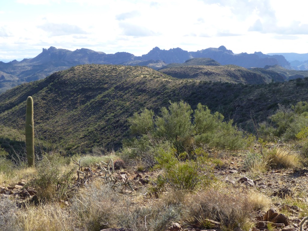 Looking south from Peak 3689. Squaw Tit is the peak on the far left skyline with the sheer drop on its left side.