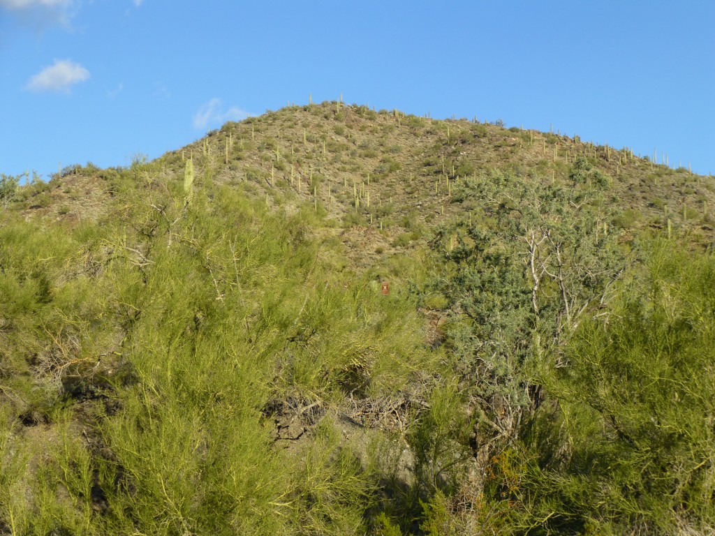 The west side of Peak 2965. I didn't go up this side.