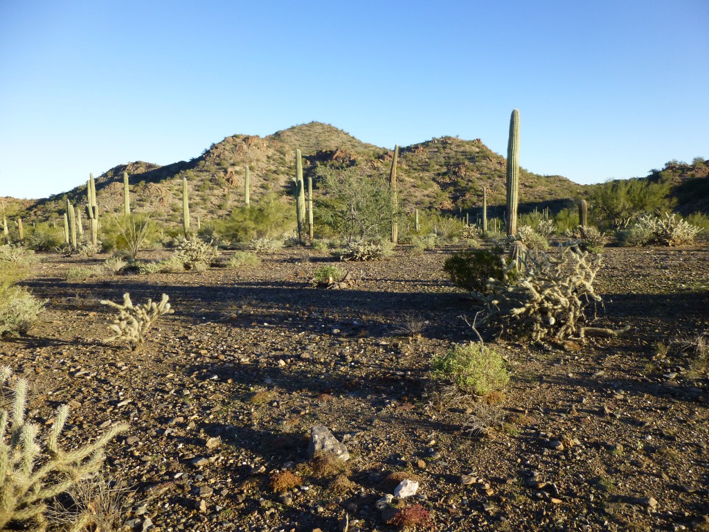 Looking north to Peak 2551 at daybreak