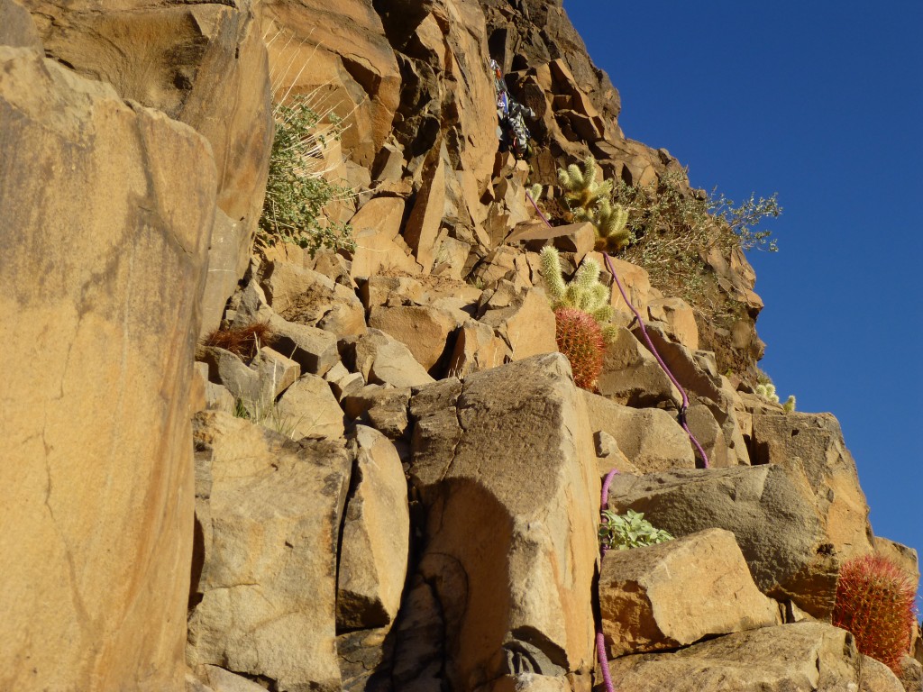 Andy, dodging the barrel and cholla cacti, moving up and around a corner