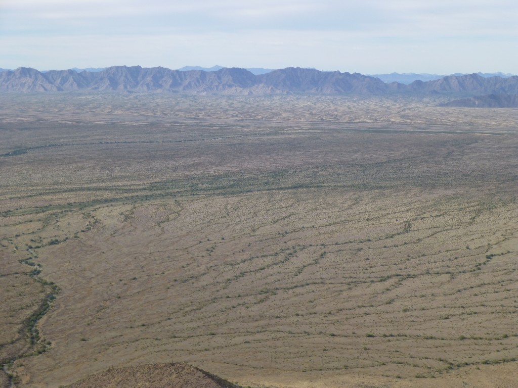 Looking southwest across the Growler Valley to the Granite Mountains