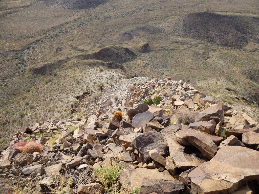 Looking back down the ridge. The ramp appears as a grey streak coming in from the left to the center of the photo.