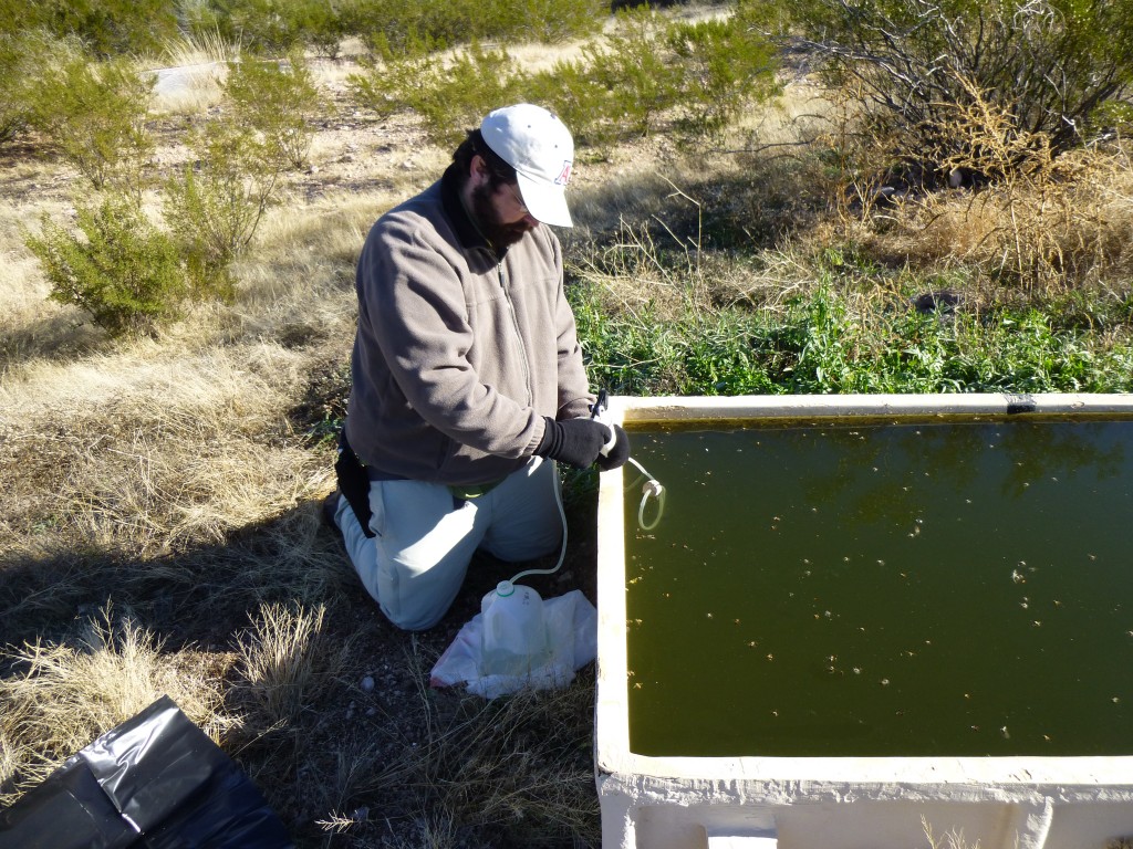 Paul pumping water through the filter.