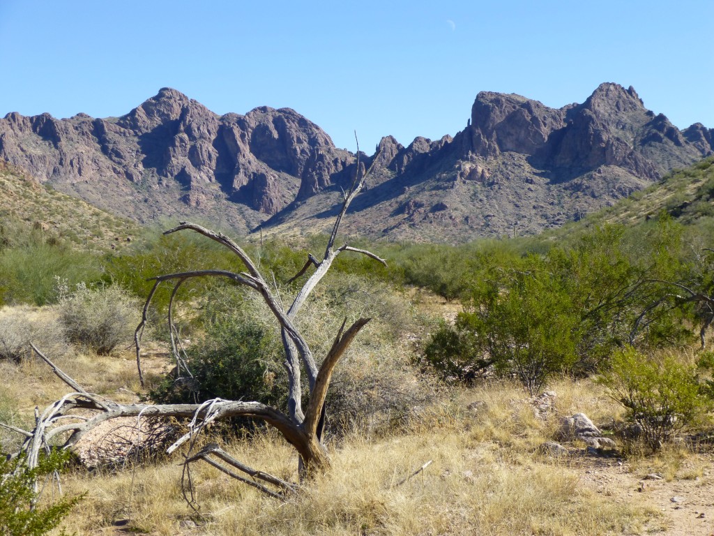 The west side of the Sand Tank Mountains, dropping 1,500 vertical feet to the desert floor