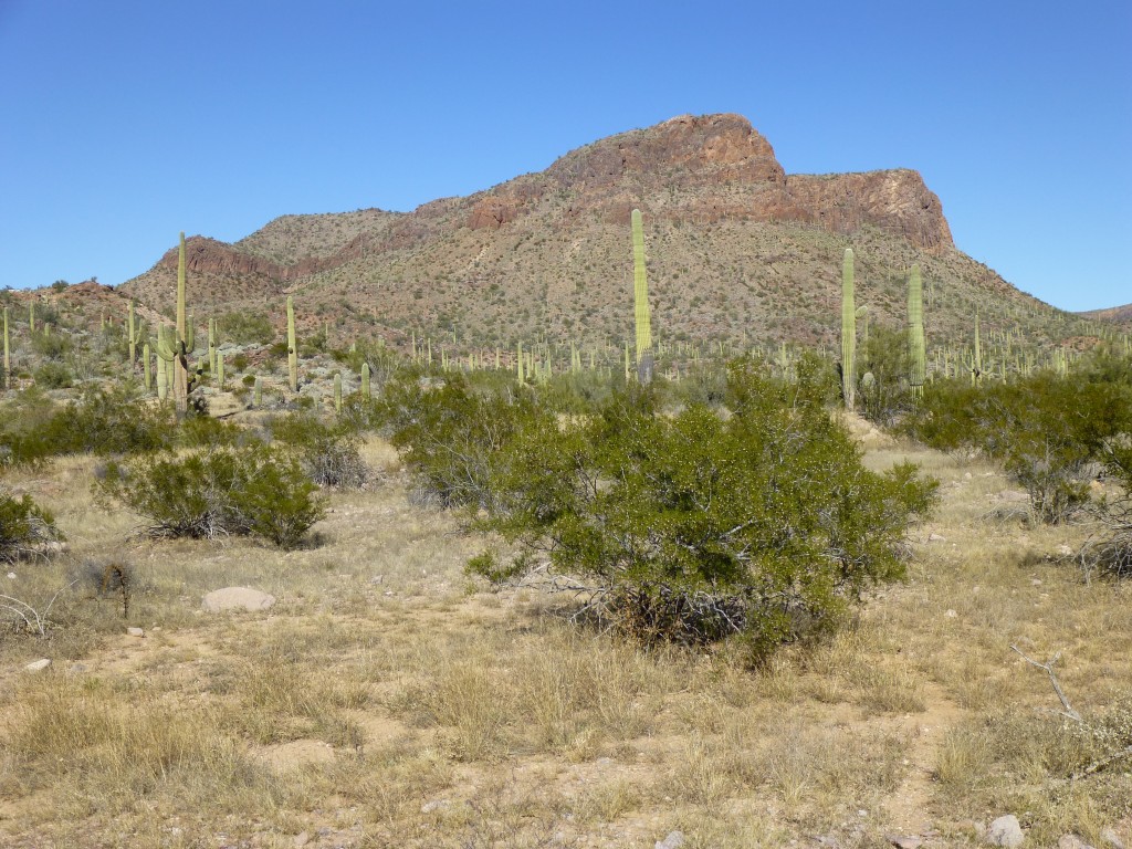 Looking north to Peak 3220. The high point is hidden from view.