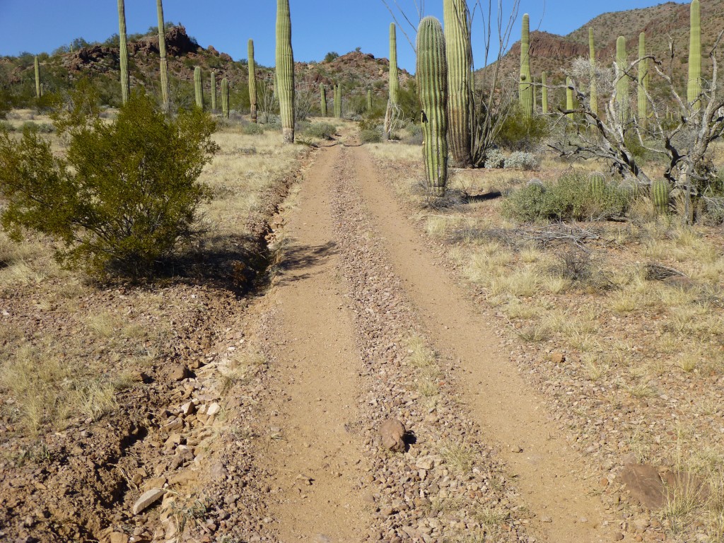 Quad road used by smugglers