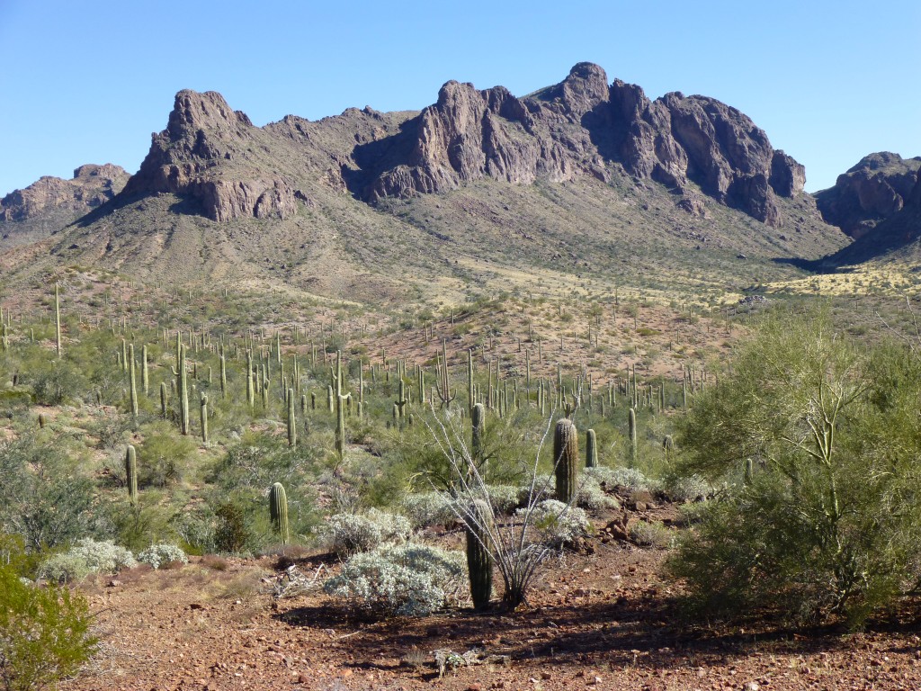 Sand Tank Mountains