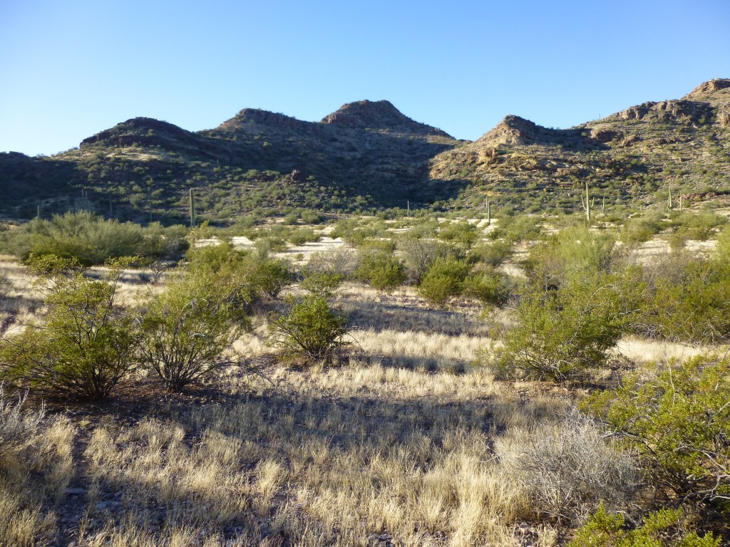 Looking south to Peak