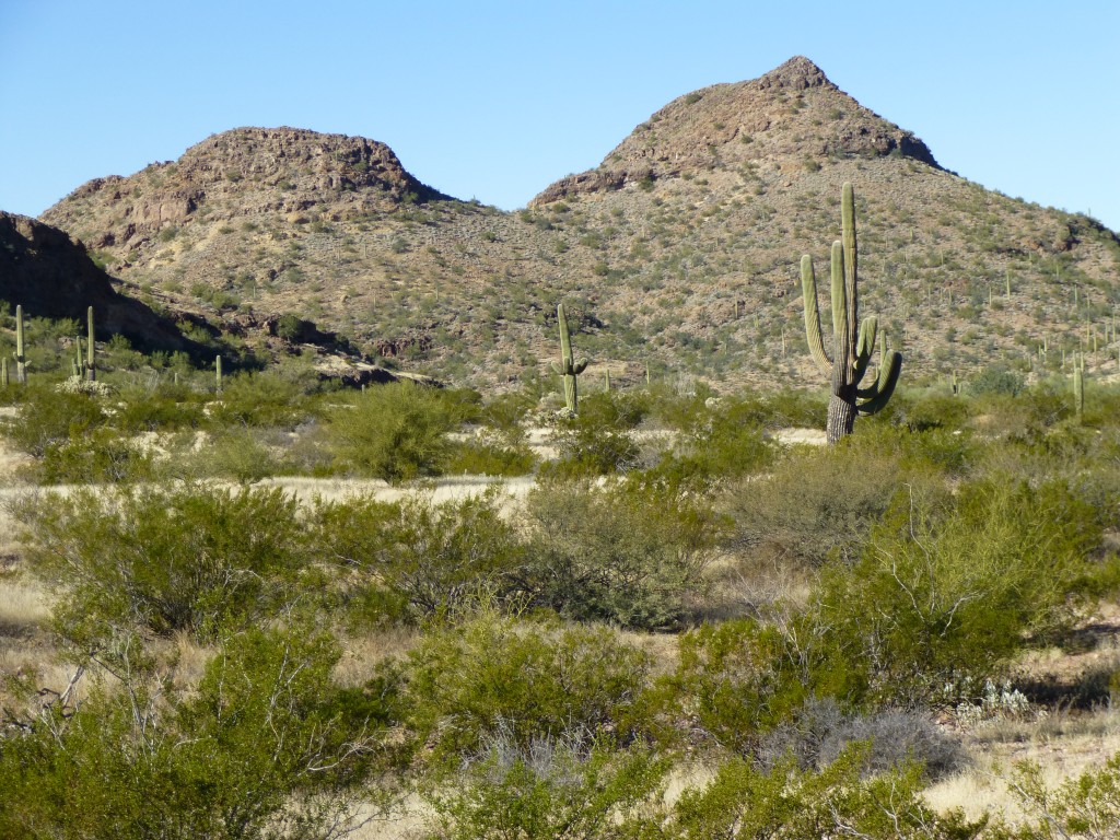 Looking northwest to Peak 2660