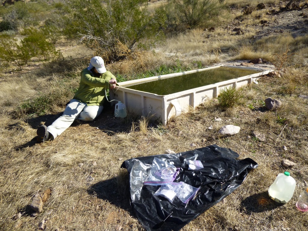 Paul filtering water