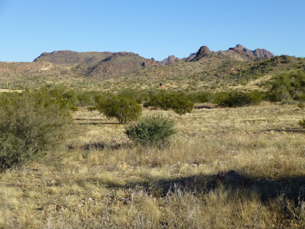 Our camping spot for the fourth night