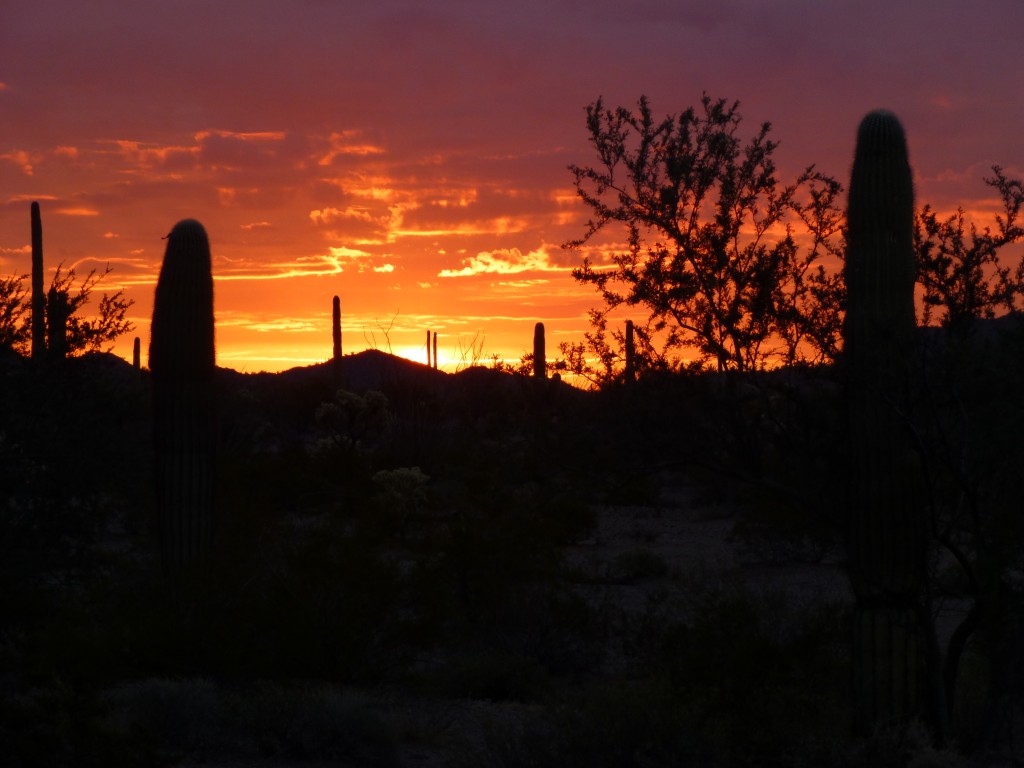 Desert sunrise near the Chico Shunie Arroyo