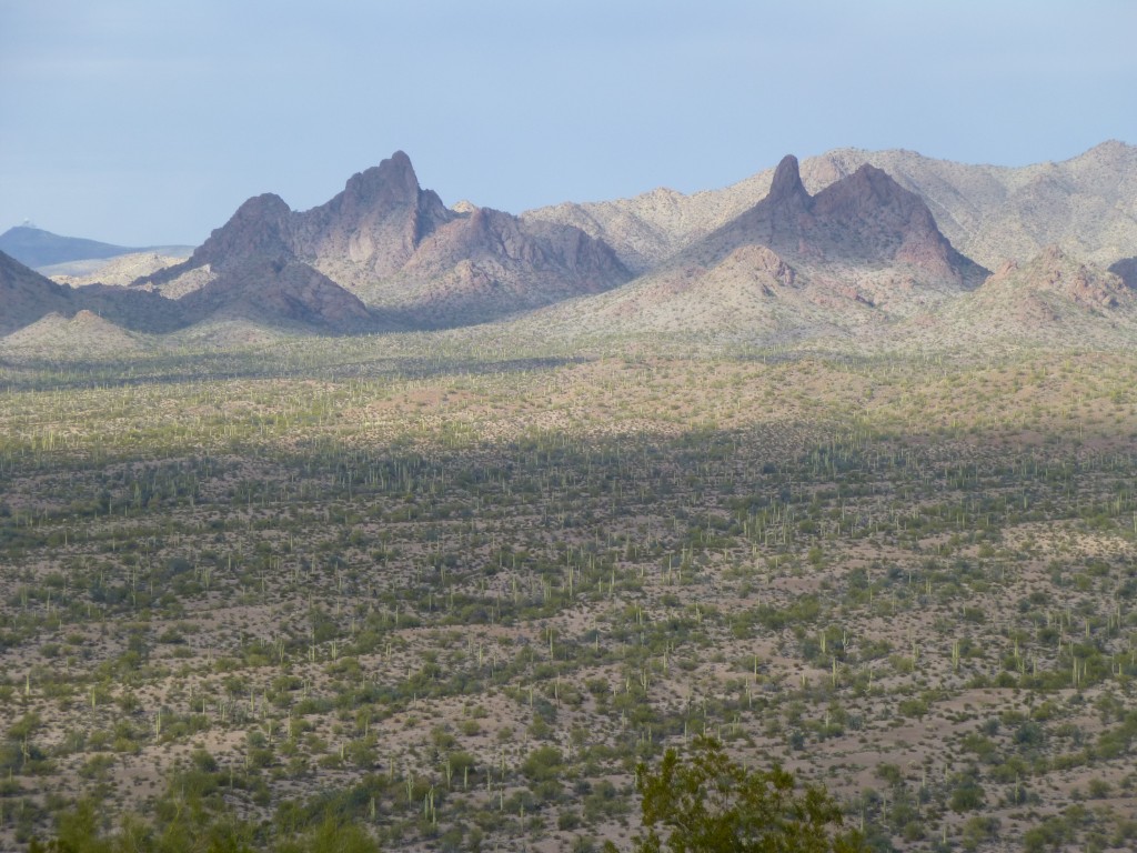 Looking north to North Ajo Peak (left) and Ajo Peak (right)