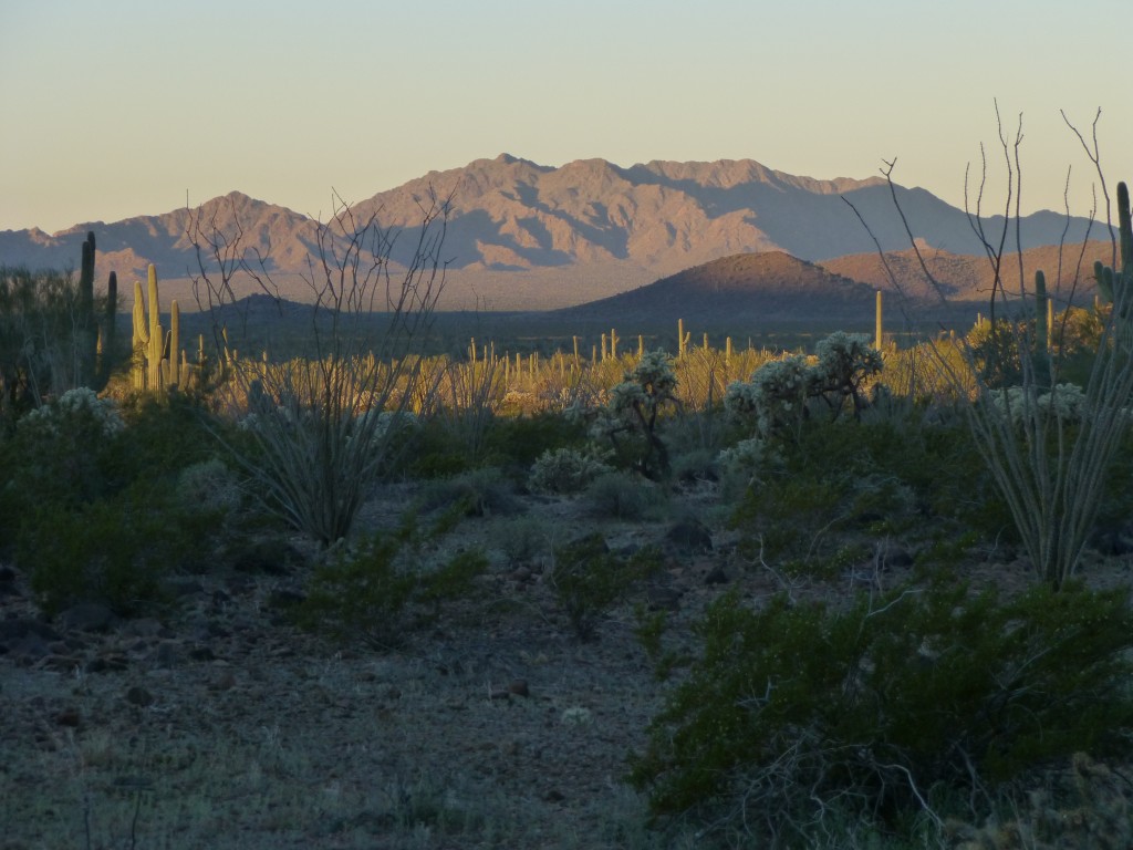 A long telephoto shot of the high country of the Agua Dulce Mountains