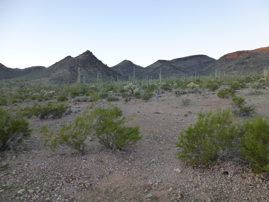 Looking south across the desert to our first peak of the day.