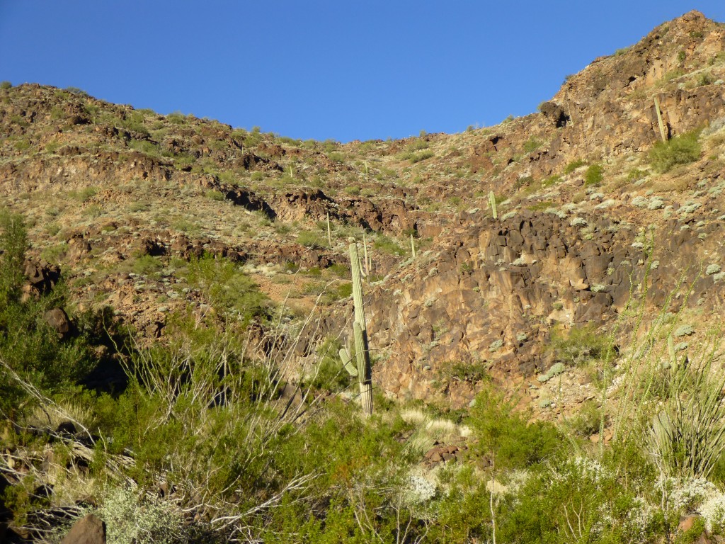 Cliffs on the east side of Peak 2530