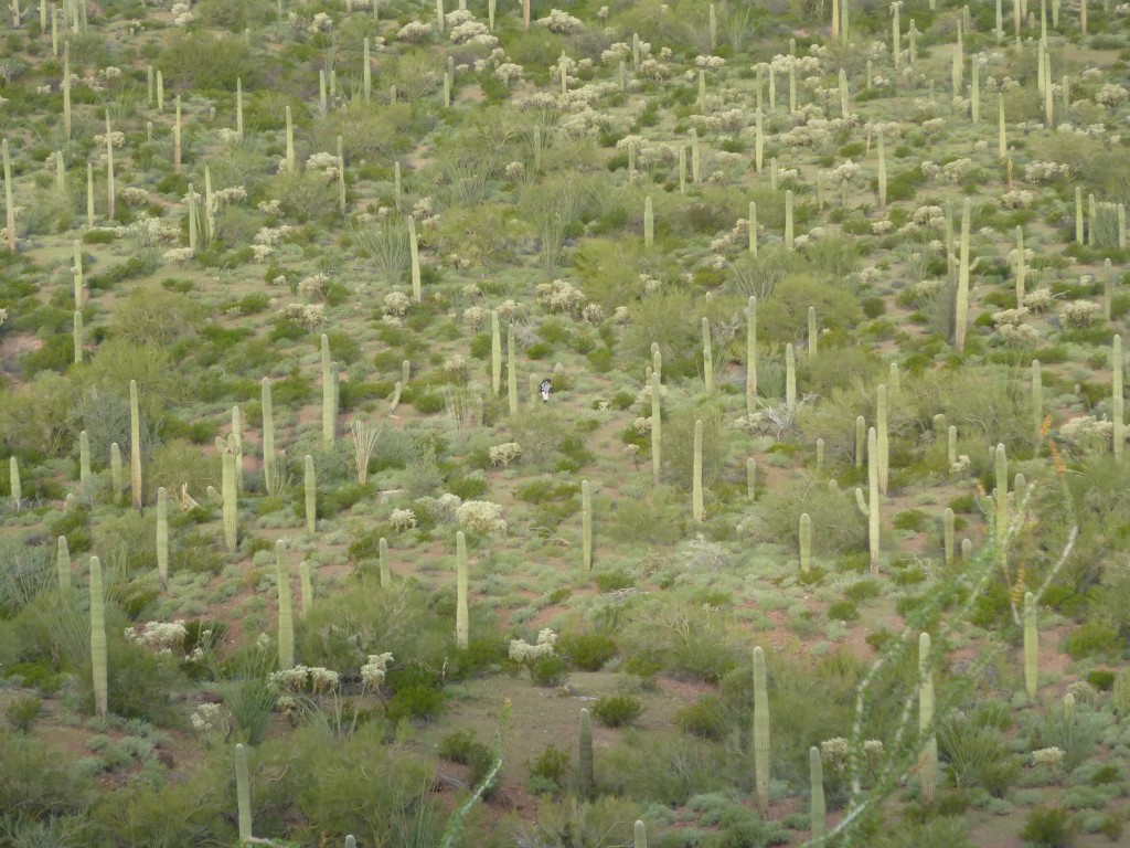 Andy approaching