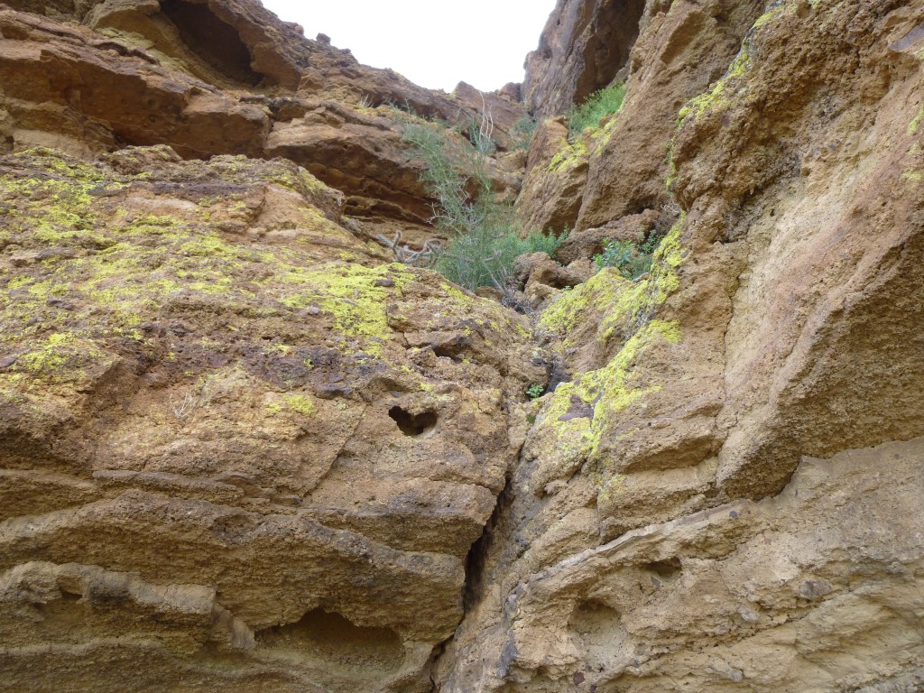 Looking up the pitch