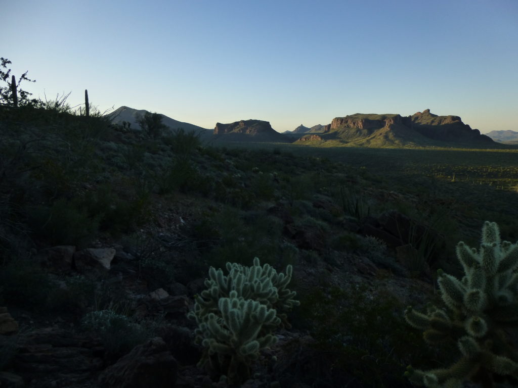 The desert near the peak, in the early-morning light.