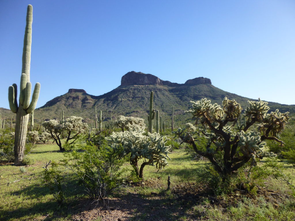 The west side of Coffeepot Mountain