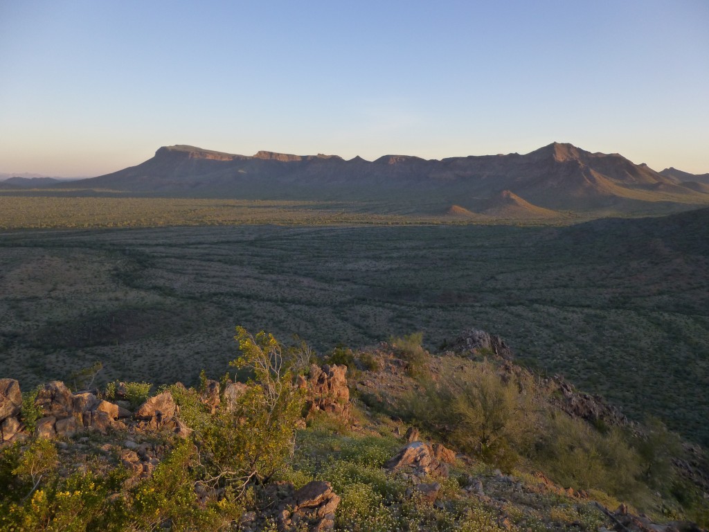 Looking north from Peaak 1850 to the southern end of the Growler Mountains.