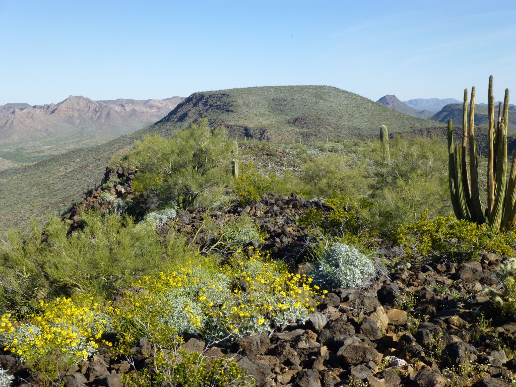 Looking north to Peak 2390