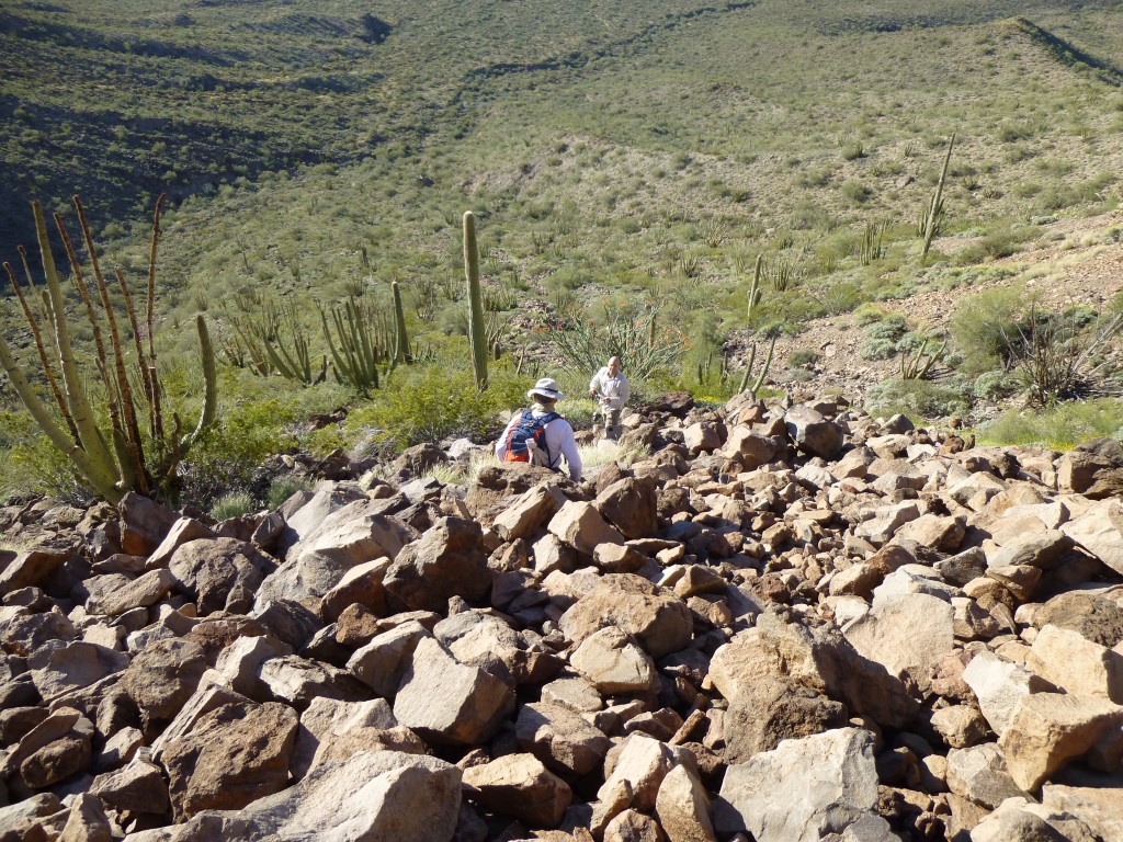 Looking down the talus slope.