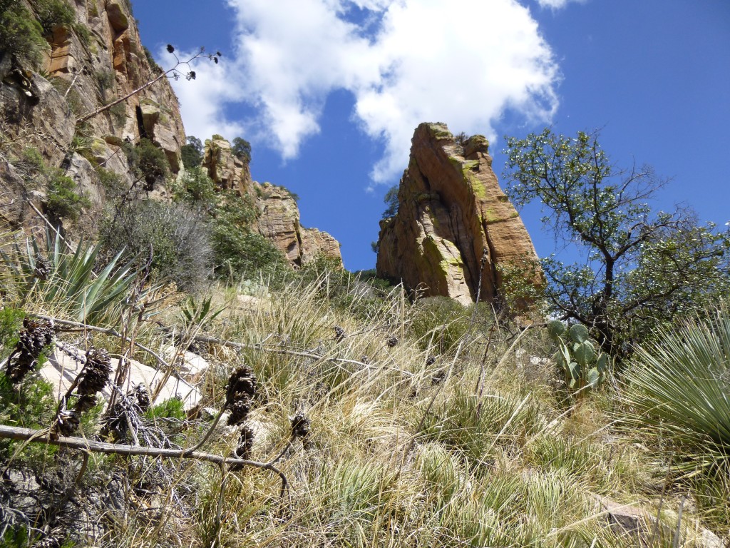 Looking up the final gully. On the right is the un-named tower, and on the left is Prominent Point East