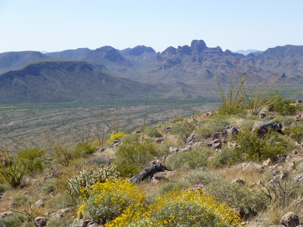 Looking south to Kino Peak and the Bates Mountains