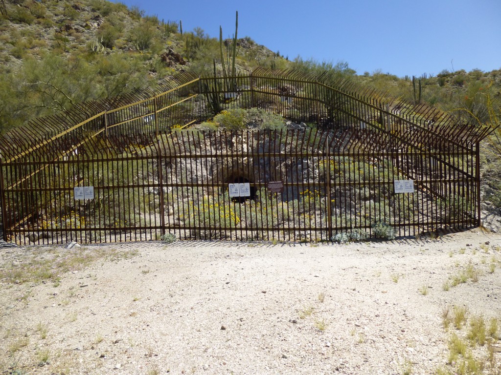 The Bluebird Mine