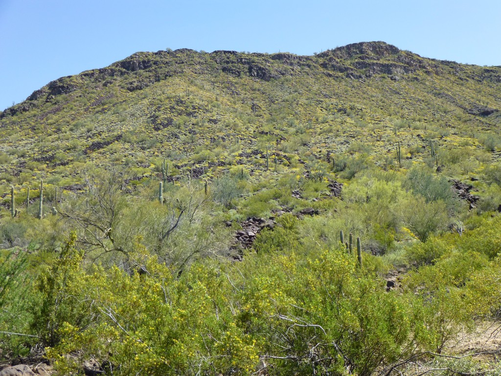 Looking southeast up the slope of Peak 2390