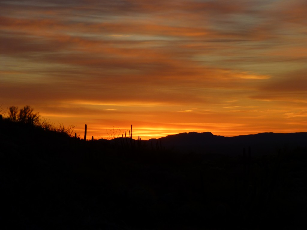 Desert majesty