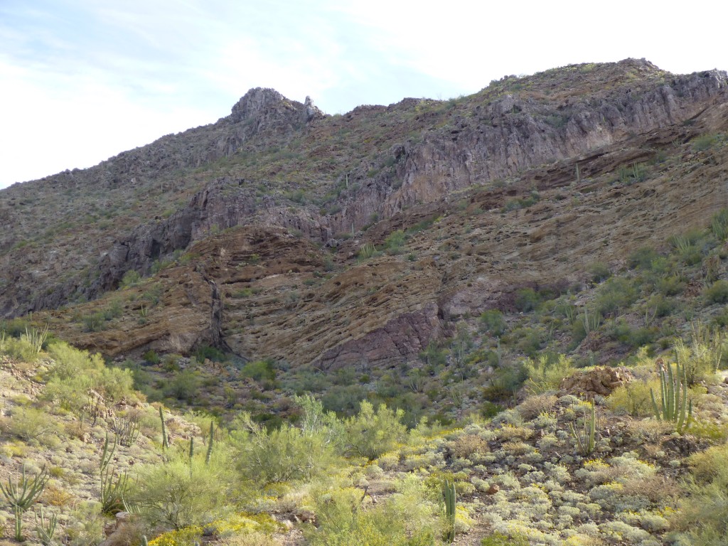 Looking back up the south ridge of Bates Benchmark