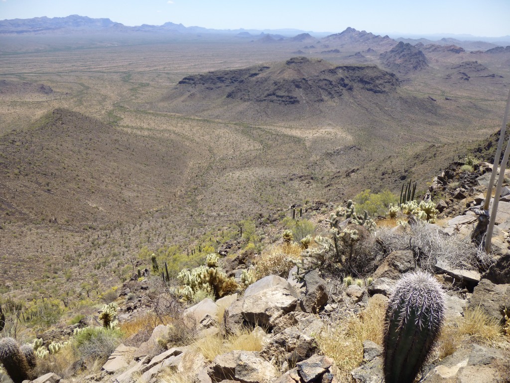 The view southeast to Peak 2541