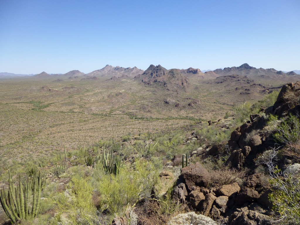 Looking south into the Puerto Blanco Mountains