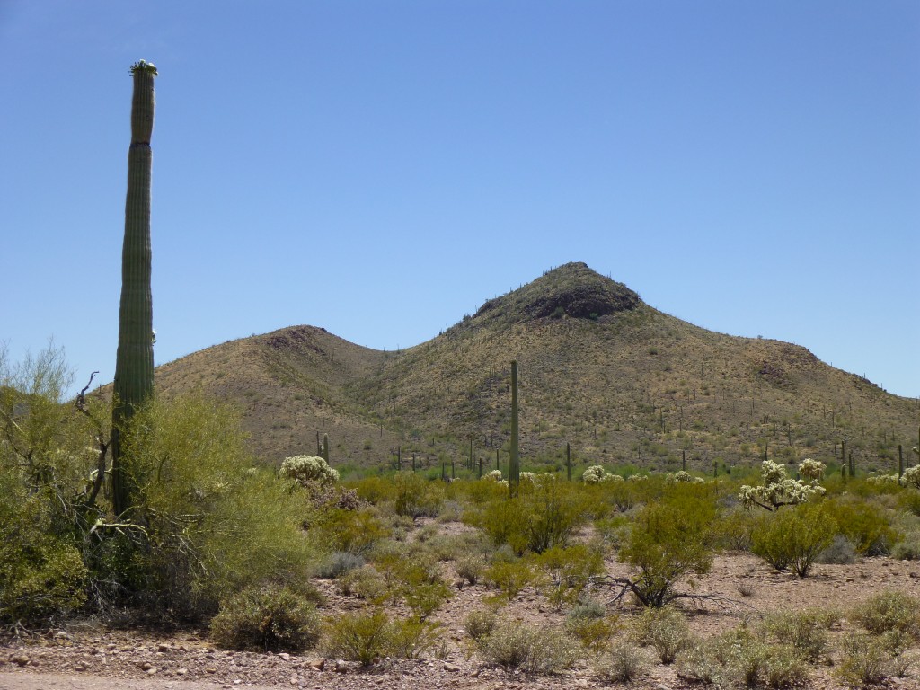 Looking south to Peak 2610