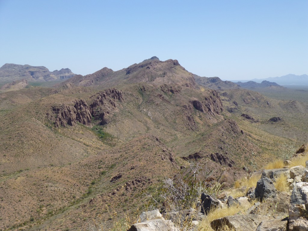 Looking south along the ridge to Tillotson Peak