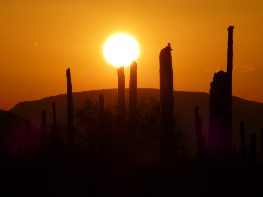 Another desert sunset