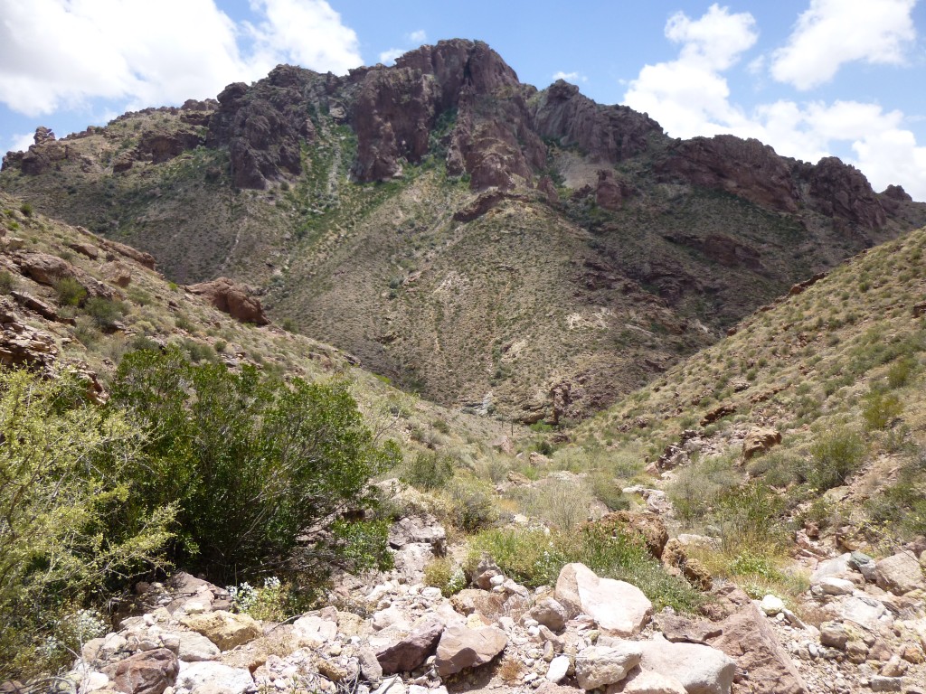 Looking south down my canyon to Peak 3820