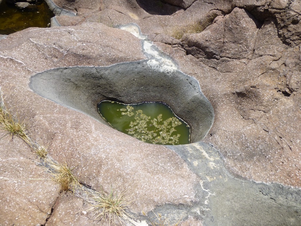 Lifesaving pools of water