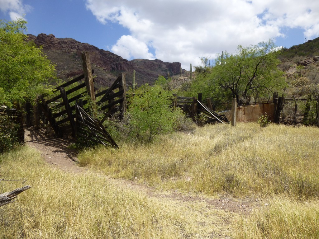 The old corral at the Miller's homestead