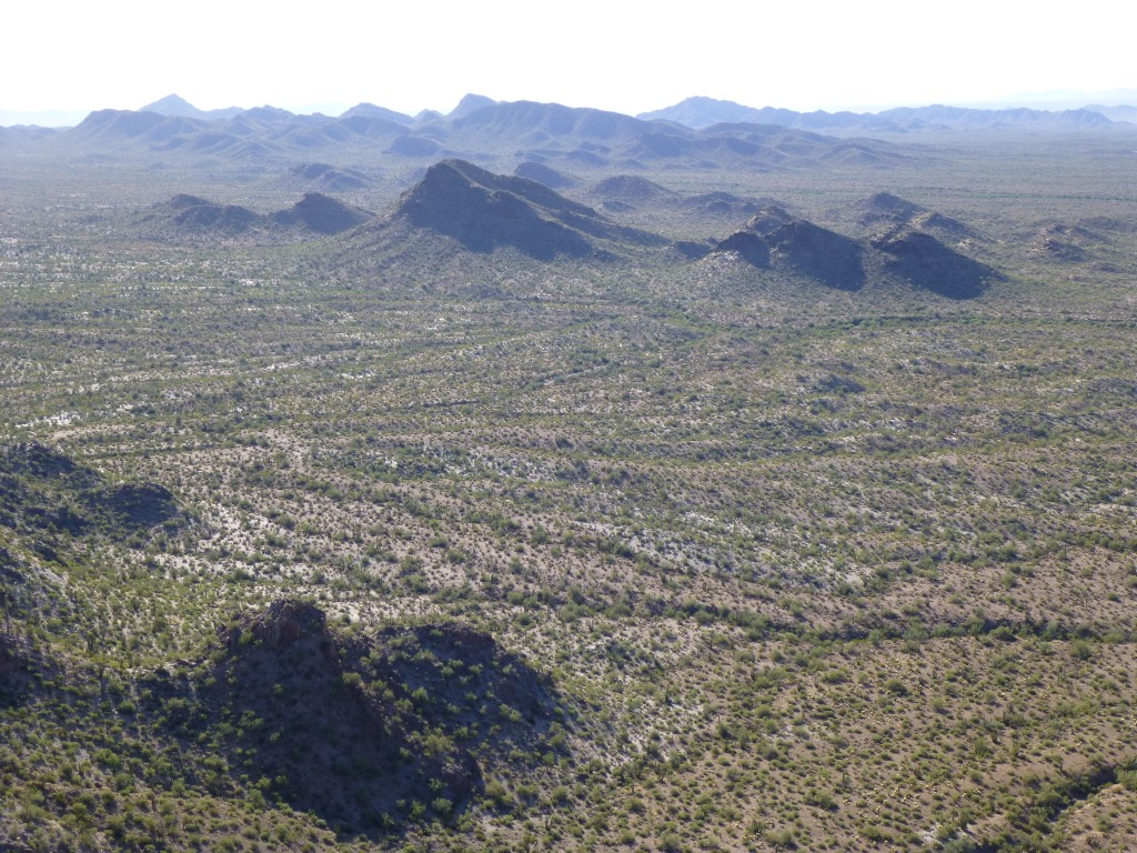 Looking southeast across the northernmost bit of La Abra Plain