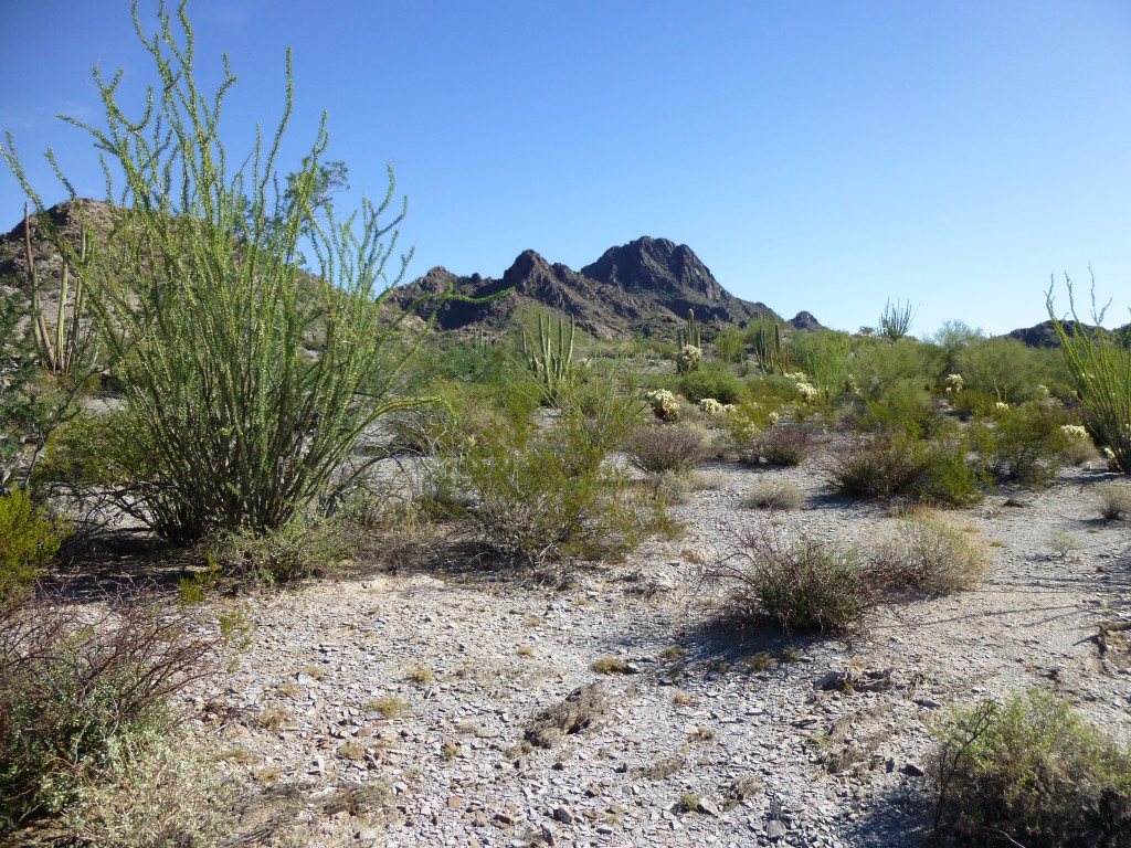 En route to Peak 2059, a view to the northeast to Peak 2675, the second-highest in the range