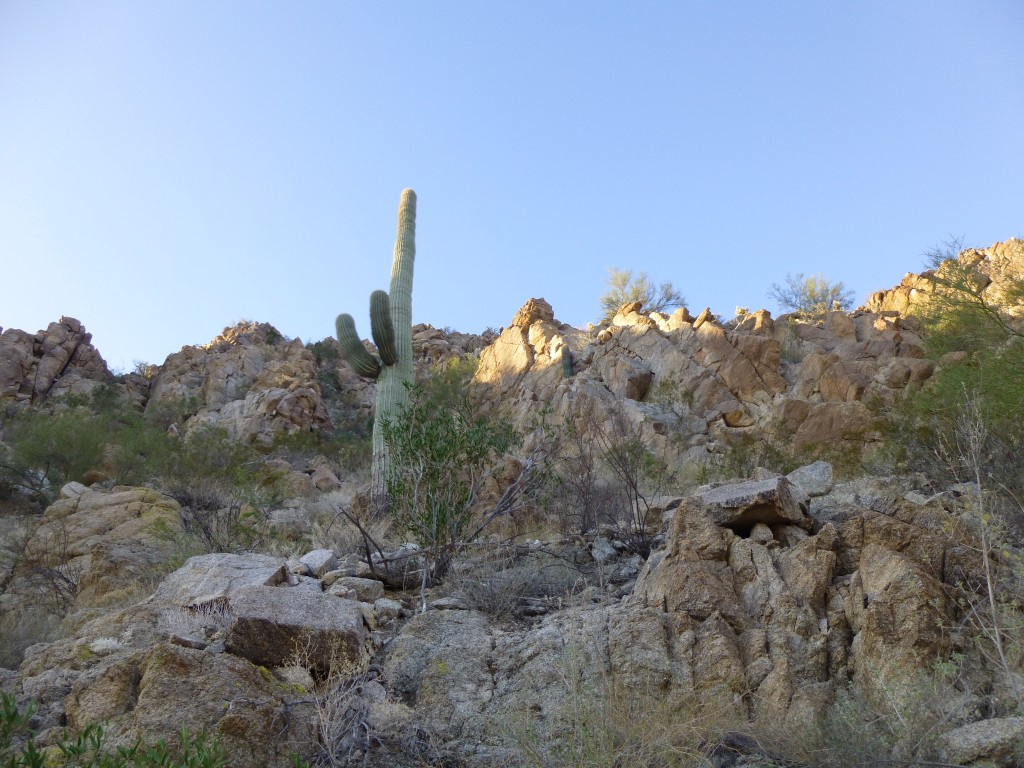 On the steep mountainside, approaching the shoulder