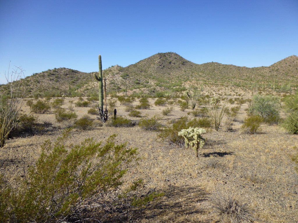 Looking southwest back to Peak 1633