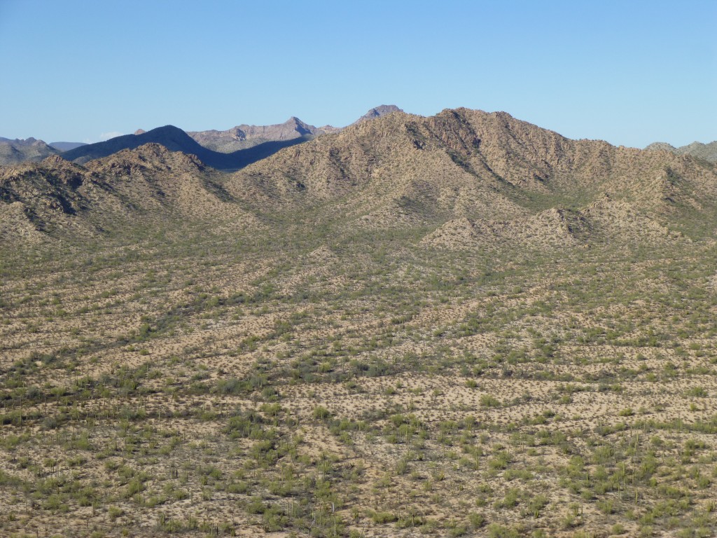 Looking north to the range high point of the Sonoyta Mountains